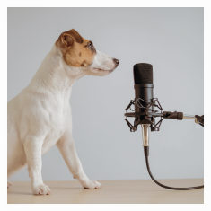 Podcasts, Speaking, and Why I’m Doing This Now